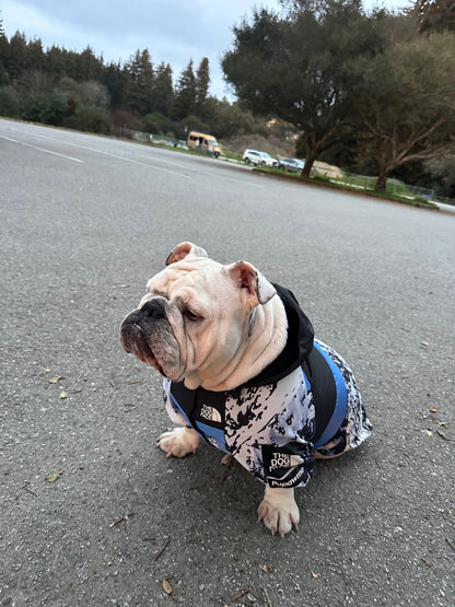 Dog Raincoat Windbreaker Hoodie (ALL SIZES) Sale