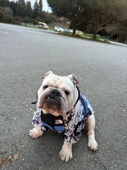 Dog Raincoat Windbreaker Hoodie (ALL SIZES) Sale