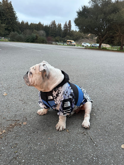 Dog Raincoat Windbreaker Hoodie (ALL SIZES) Sale