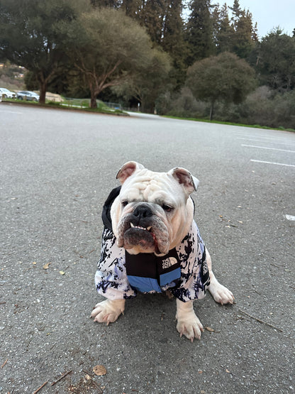 Dog Raincoat Windbreaker Hoodie (ALL SIZES) Sale