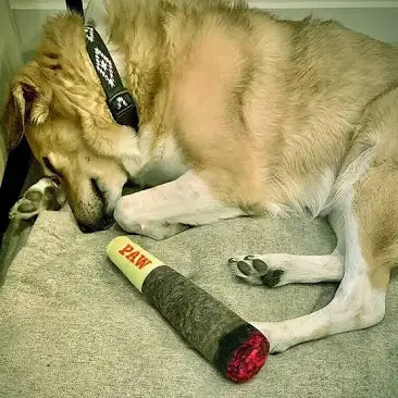 PAW Dog Joint (Doggie Doobie)