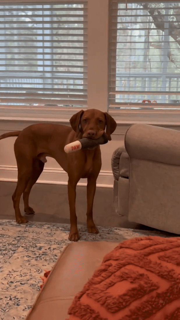 PAW Dog Joint (Doggie Doobie)