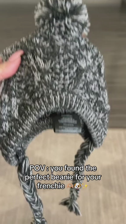 Winter Warm Dog Hat