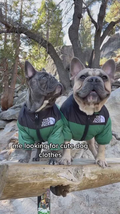 Dog Face Puffer (ALL SIZES) Sale