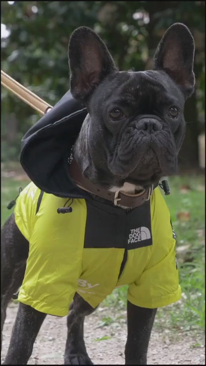 Dog Raincoat Windbreaker Hoodie (ALL SIZES) Sale